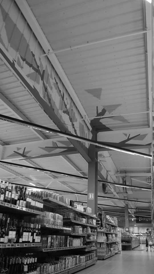 Image du projet Arbres Stylises - Scénographie Intérieure, architecture d'interieur